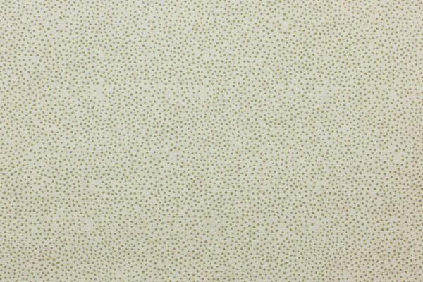 Freckle | Eucalyptus